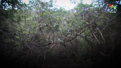 Veracruz Mexico's Human Graveyard