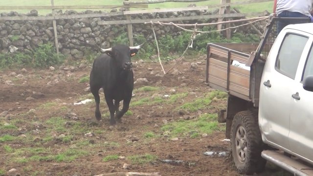 TOUROS E TOURADAS 1 PARTE 2014 SPOT 01