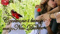 Czerwone i bure--  neo dance