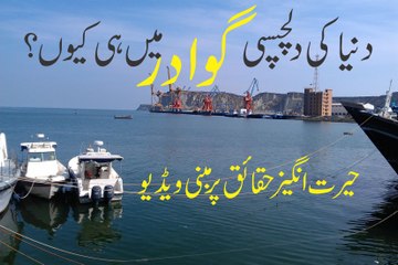 What people says about gwadar developments and its importance in the world.Gwadar is a Gateway of The World.