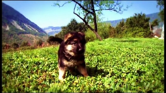 Sucre Ou Gras Lequel Est Notre Pire Ennemi ? 30M d'amis documentaire