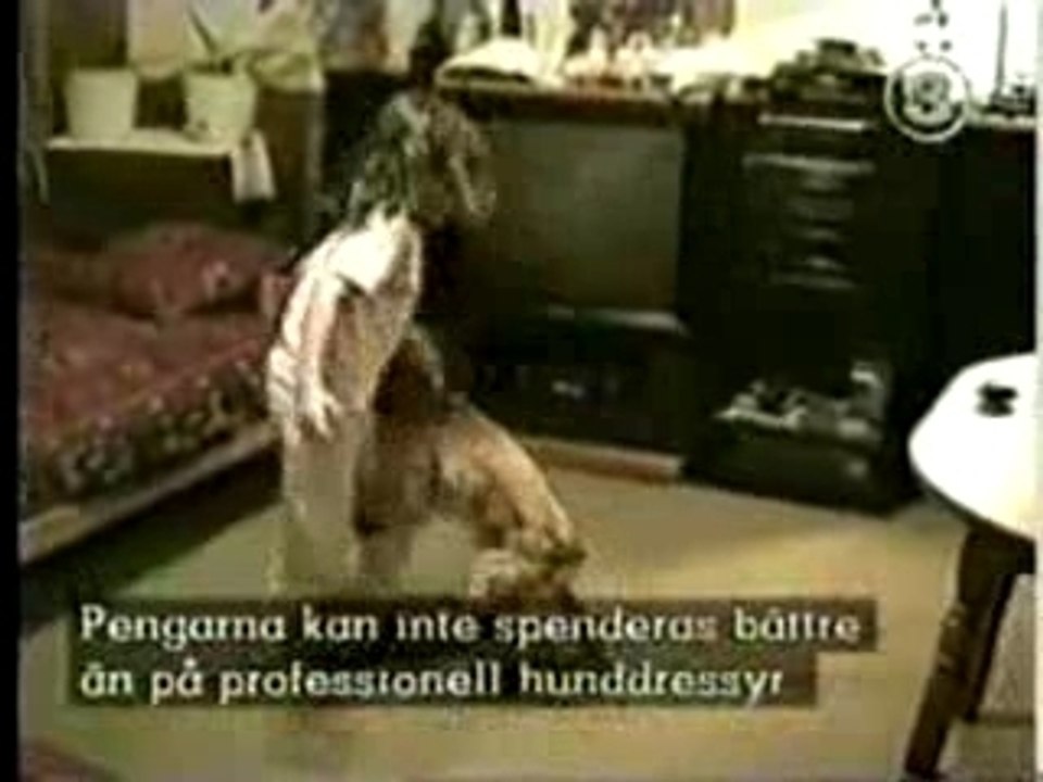 ilk tecrube korkutuyor