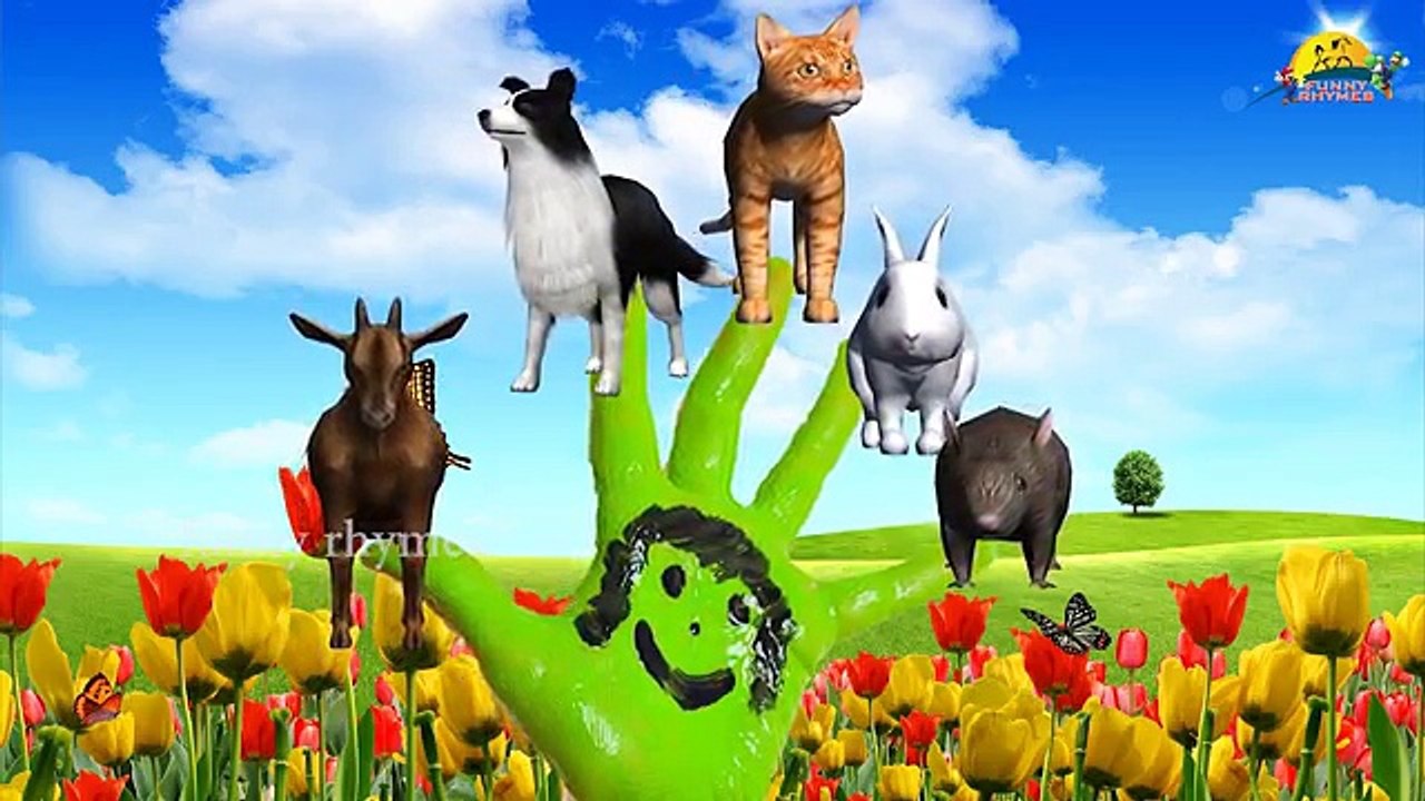 Cat Dog Animals The Finger Family Rhymes | Animal Finger Family nursery children 3d songs