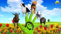 Cat Dog Animals The Finger Family Rhymes | Animal Finger Family nursery children 3d songs