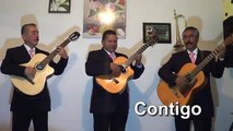 Tríos Musicales Benito Juárez T- 50267941