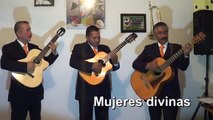 Tríos Musicales en Gustavo A. Madero Tel. 50267931