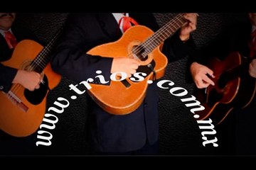 T. 50267690 Tríos Musicales en Iztacalco