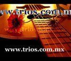 Tel. 50267690 Tríos Musicales en Miguel Hidalgo