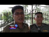 Buaya Muara Sitaan Warga Direhabilitasi - NET24