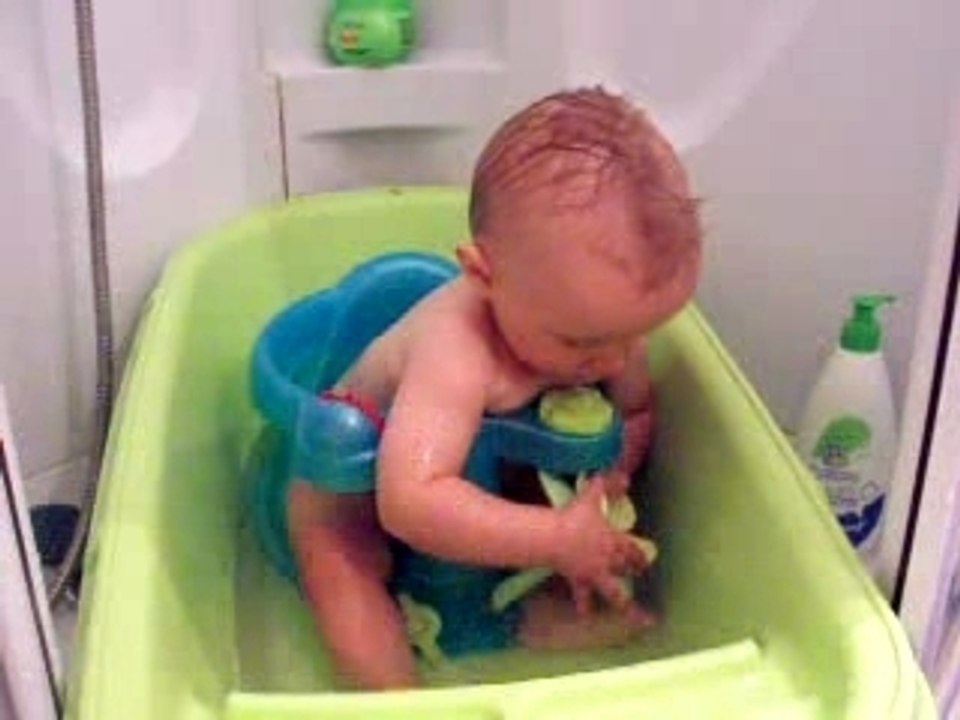 Robin dans le bain