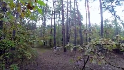 bisiklet sürücüsü ayıyı fark edince son sürat gidiyor dağ orman yolunda