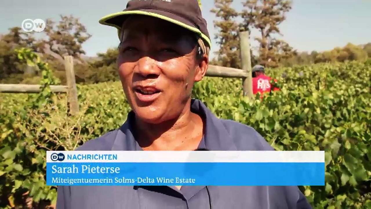 Südafrika: Weinbau im Wandel | DW Nachrichten