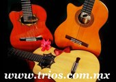 Tel. 50267931 Tríos Musicales en Venustiano Carranza