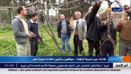 فلاحة  حين هجرها أبناؤها.. موظفون يختارون الفلاحة هواية لهم