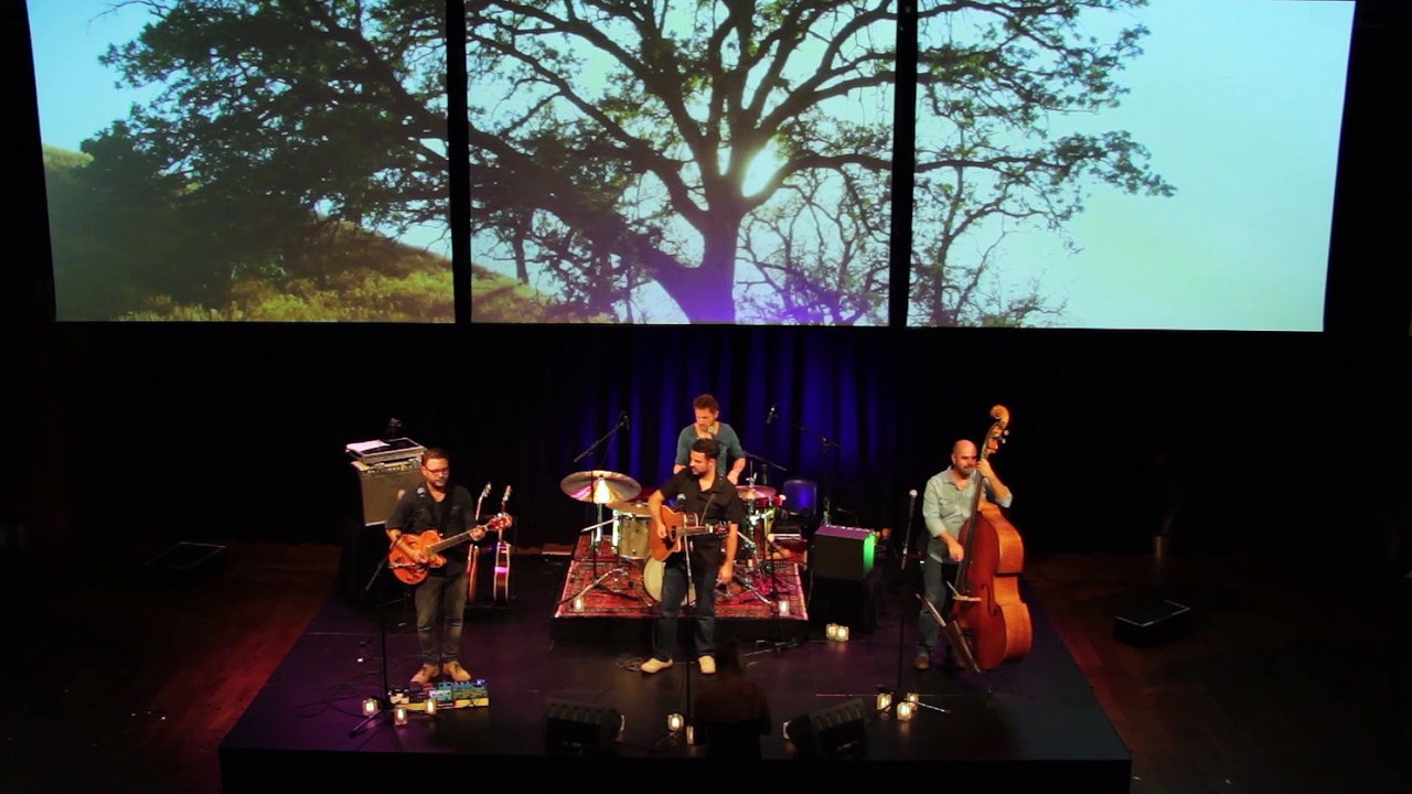 Old Oak Tree - Dieter van der Westen