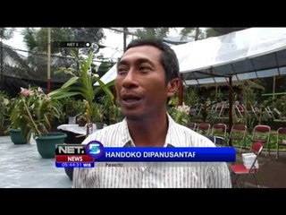 Si Cantik Tiga Warna, Anggrek Merapi - NET 5