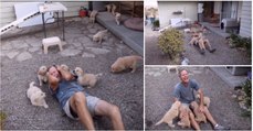 Homem indefeso recebe ataque de cães famintos por carinho e o momento é de extrema fofura