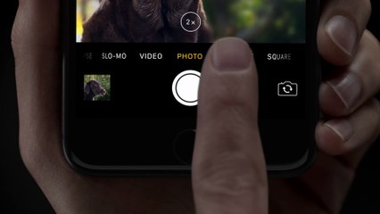Portrait Mode + iPhone 7 Plus – Soul Mate – Apple