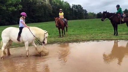 Suyu Görünce Üzerindeki Ufaklığı Unutup Suya Yatan At