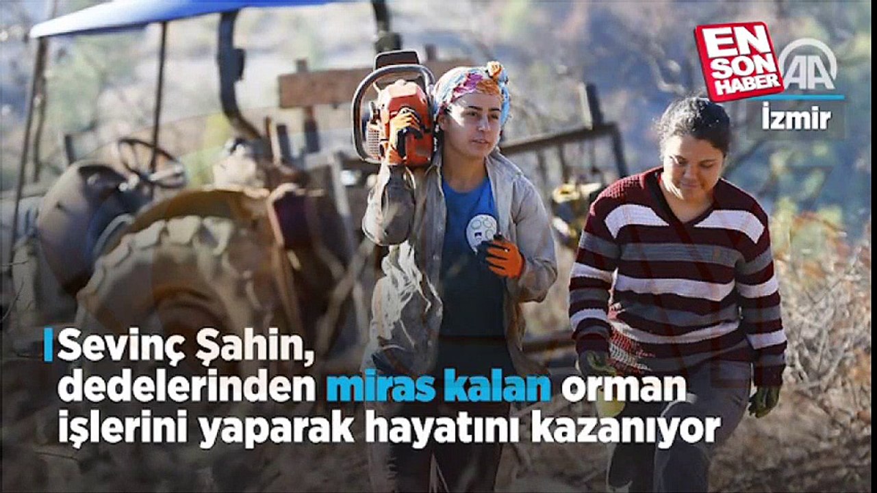 Ormanların "hızarlı" Sevinç'i | Video Olay