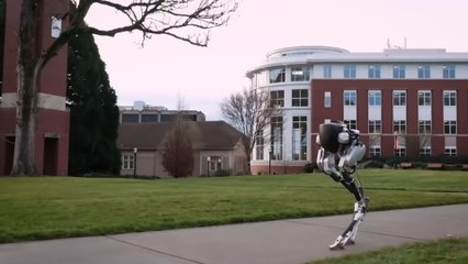 This robot is all legs and can deliver your groceries