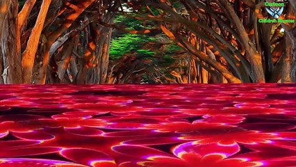 Colour Songs Collection || Cartoon Animation Colour Songs For Children