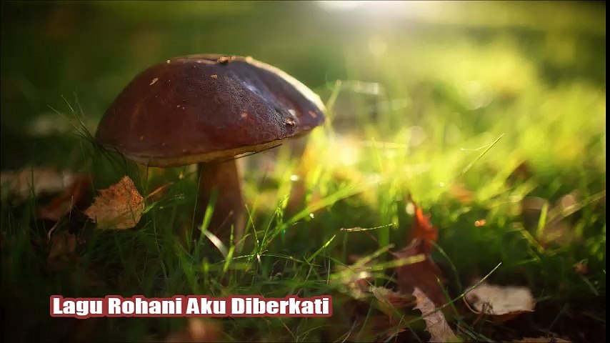 Lirik Lagu Rohani Kristen Aku Diberkati Video Dailymotion