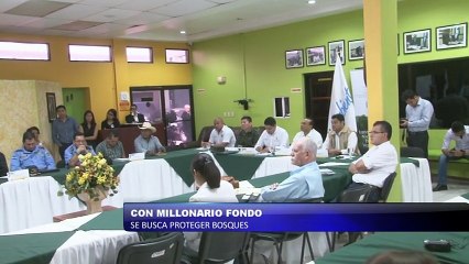 Con un millonario fondo se buscara proteger los bosques