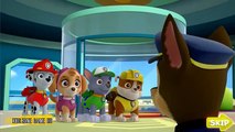 Paw Patrol Academy Game - Paw Patrol Cartoon Nick Jr English - Paw Patrol Full Episodes