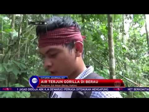 Air Terjun Gorilla di Berau - NET 10