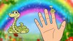 Finger Family Snake cartoon Anima Rhymes l Nursery Rhymes For Children
