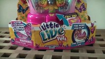 Little Live Pets Butterfly and Butterfly House Toy Review Moose Toys