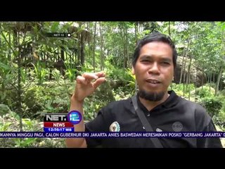 Wisata Rumah di Atas Batu di Purbalingga - NET 12