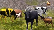 Wild Animals Hunting Short Movie 3d animals collection learn animals and sounds for kids