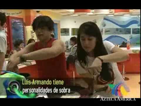 Resumen de las Facetas de Luis Armando