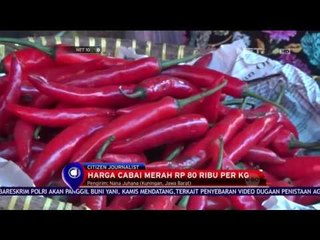 Harga Cabai Merah Meroket - NET 10