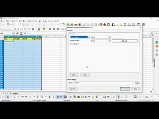 62 Ders - LibreOffice Calc Satır renklendirme - koşullu biçimlendirme 2