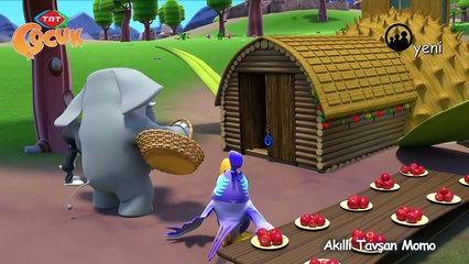 Akıllı Tavşan Momo Çizgi Film izle 7. Bölüm