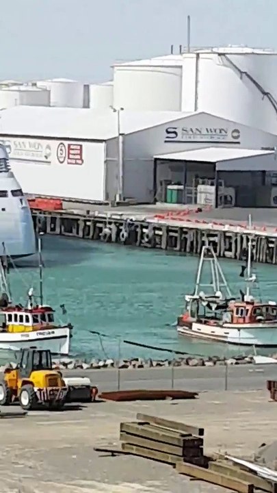 Cruise Ship Collides With Vessel in Timaru Port