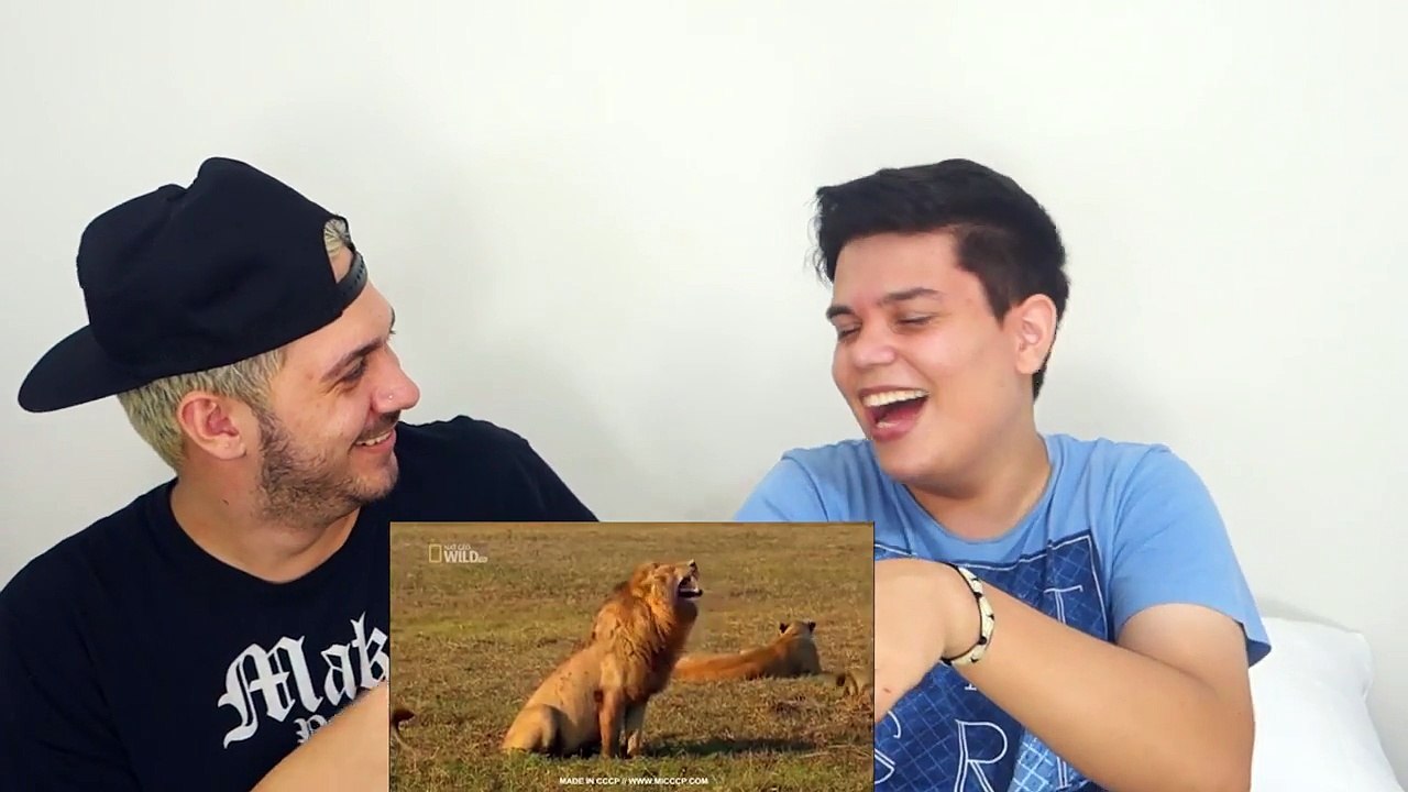 TENTE NAO RIR _ QUEM PULOU NA PISCINA GELADA ‹ JUAUM ›