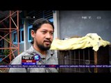 Owa Jawa & Lutung di Jawa Barat Akan Jalani Rehabilitasi - NET5