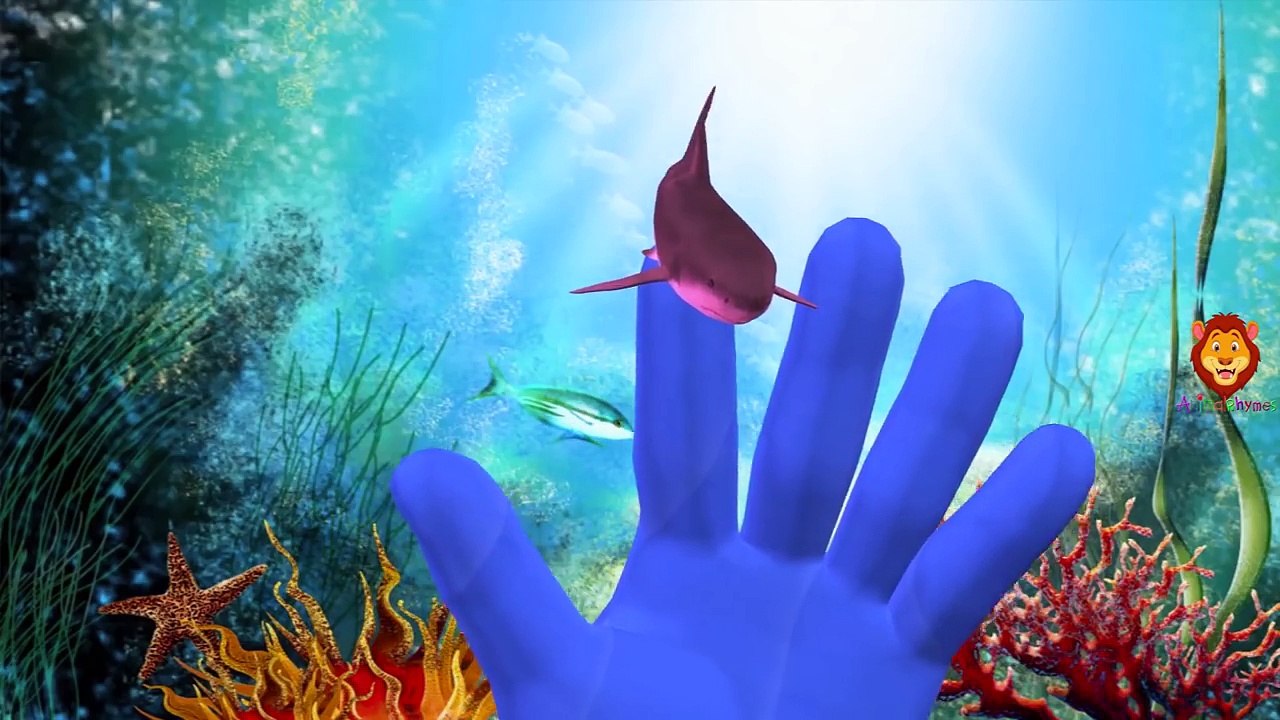 Piranha Shark Whale Sea Animals Finger Family Songs | Fish Dolphin Octopus Children Nurser