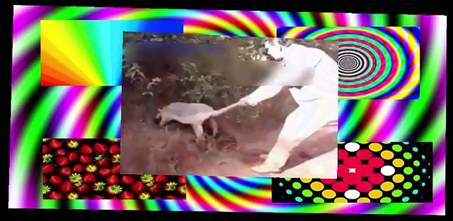 Qabar Main Sy Murde Ko Nikalne Wala Janwar - Murde khane wali bala bachay na dekho - YouTube