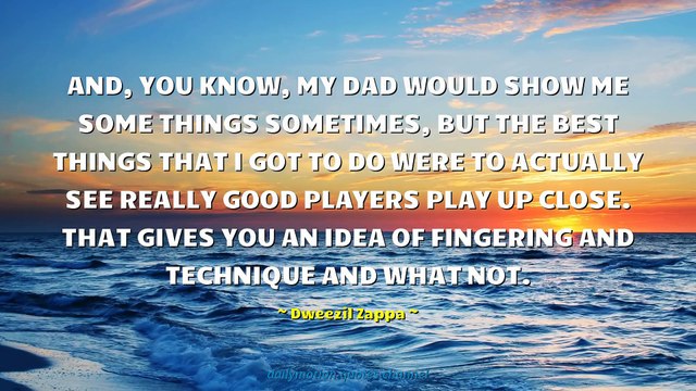 Dweezil Zappa Quotes #1