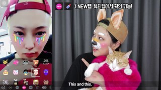 Draw the SNOW filter on my face 스노우 필터를 직접 얼굴에 메이크업 해보기 - SSIN