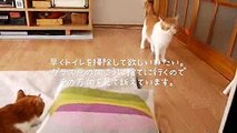 ネクストステージ中野の未来への動画No.1