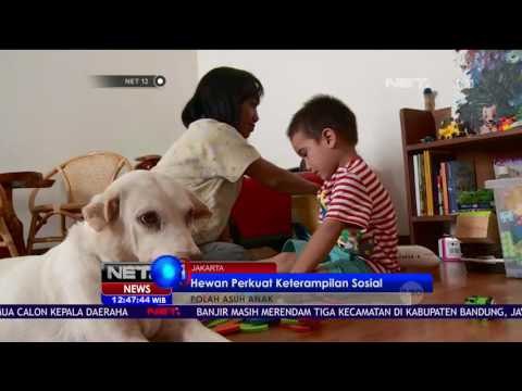 Hewan Peliharaan bagi Tumbuh Kembang Anak - NET 12