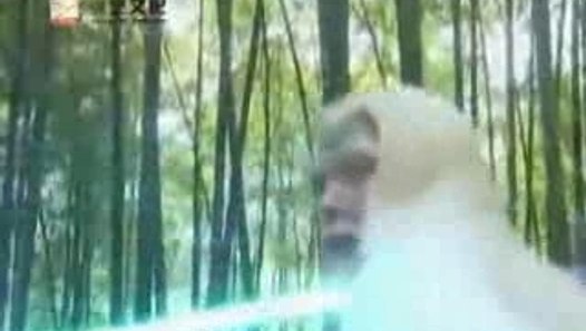 Film4vn.us-MaKiemSinhTuKy-01.00 - video dailymotion