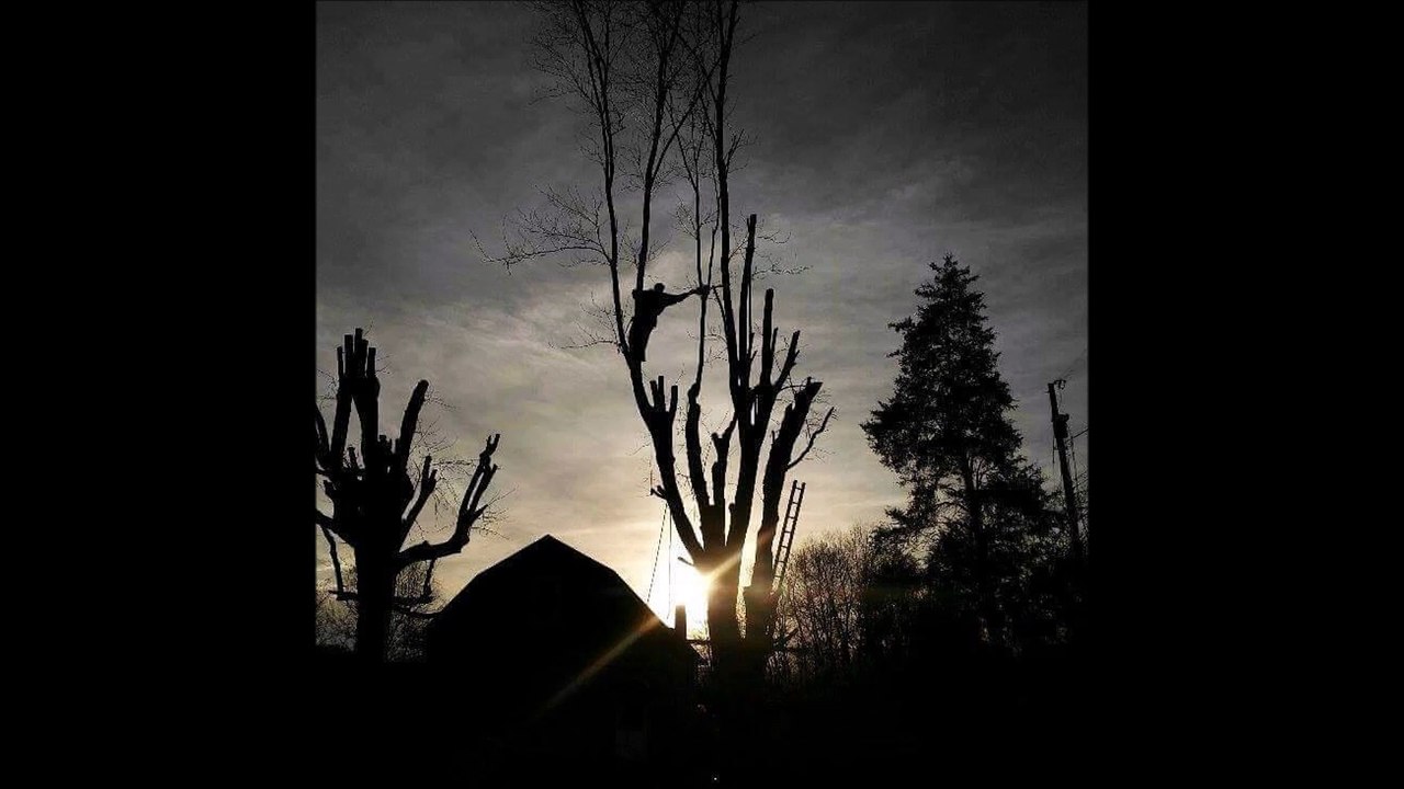 Axmen Tree Service - (812) 577-7787