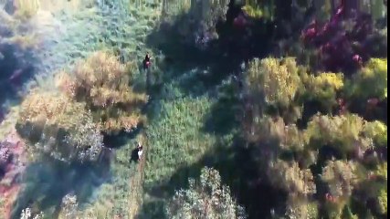 Werewolf Transformation 19